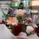 원예힐링교실 이미지