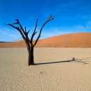 맑은미소한의원 이미지