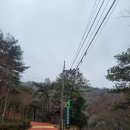 백아산자연휴양림 | 화순 백아산자연휴양림 느티나무실 후기