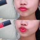 드로터스