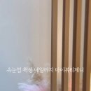 마이제니뷰티