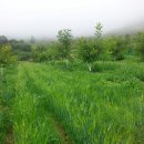 합심농장 이미지