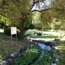 구갈레스피아 이미지