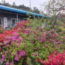 하동농장 이미지