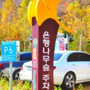 나무여행사 - 제주시 용마로 24 | 나무여행사