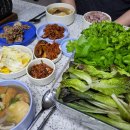 싱그러운데이지