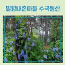 내촌4 | 밀양가볼만한곳 밀양내촌마을 수국동산