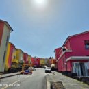 소락스위스 이미지