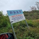 김두용농장 네이버블로그