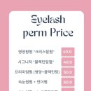 평촌역 동아프라자 | 평촌역 속눈썹펌 잘하는 크리스탈아이래쉬에서 속눈썹펌한 솔직 후기