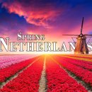 Spring Netherlands 4K Ultra HD • Stunning Footage, Scenic Relaxation ... 이미지