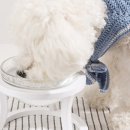 까사하나 이미지