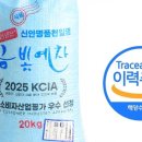 법인금빛