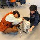 우쭈쭈(uzuzu)