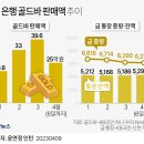 골드 세탁 이미지