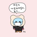 코리아 짐 이미지