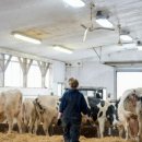 기승농장 이미지