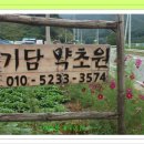 내린천약초 Daum카페
