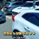 젠틀로스터스 이미지