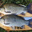 자인대물낚시 이미지