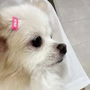 몽개몽개 이미지