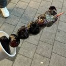 남양주호평동 달콤한 디저트 간식으로 먹을 수 있는 탕후루 왕가탕후루 평내호평점