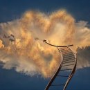 ㈜합천식품 이미지