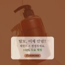 허니비어 | 구트하르 허니비어 51 샴푸 앤 트리트먼트🫧체험단 모집