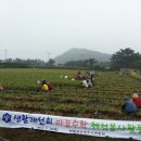 이광석농장 이미지