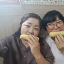 언덕위에토종닭집 이미지