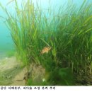 대청도바다수산 - 옹진군 대청로 13 | 대청도바다수산
