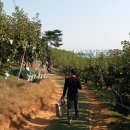 아림농장 이미지