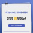 운정왕부동산중개사무소 이미지