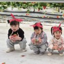 다인초등학교 병설유치원 이미지