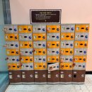 설악워터피아실외수영장 | 속초 설악워터피아 워터파크 나이트스파 아이랑 가볼만한곳 내돈내산 스파