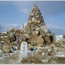 청목장갑 이미지