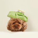 24시 라인동물의료센터 이미지