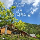 청룡길 이미지