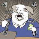손가갈비 이미지