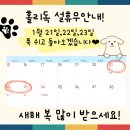 홀리독 이미지