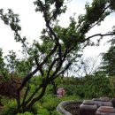 구성역행운공인중개사사무소 이미지