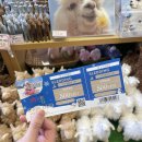 계치목장 이미지