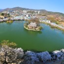 연화지