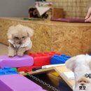 보미티나 이미지