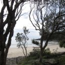 호주배낭여행기!!누사국립공원Noosa& 호주의 아름다운 대자연을 내 스마트폰 안에!!! 이미지