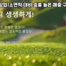 바이킹 스크린 파크골프 이미지
