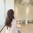 끌리네헤어뉴스 | [공지] 직장인 블로그, 드디어 시작 (ft. 20대 직장인의 저축&주식&힐링)