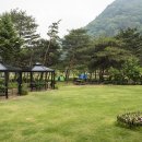 소나무펜션 이미지