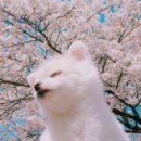 도로명미지정 이미지