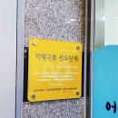 속초시치매안심센터 이미지